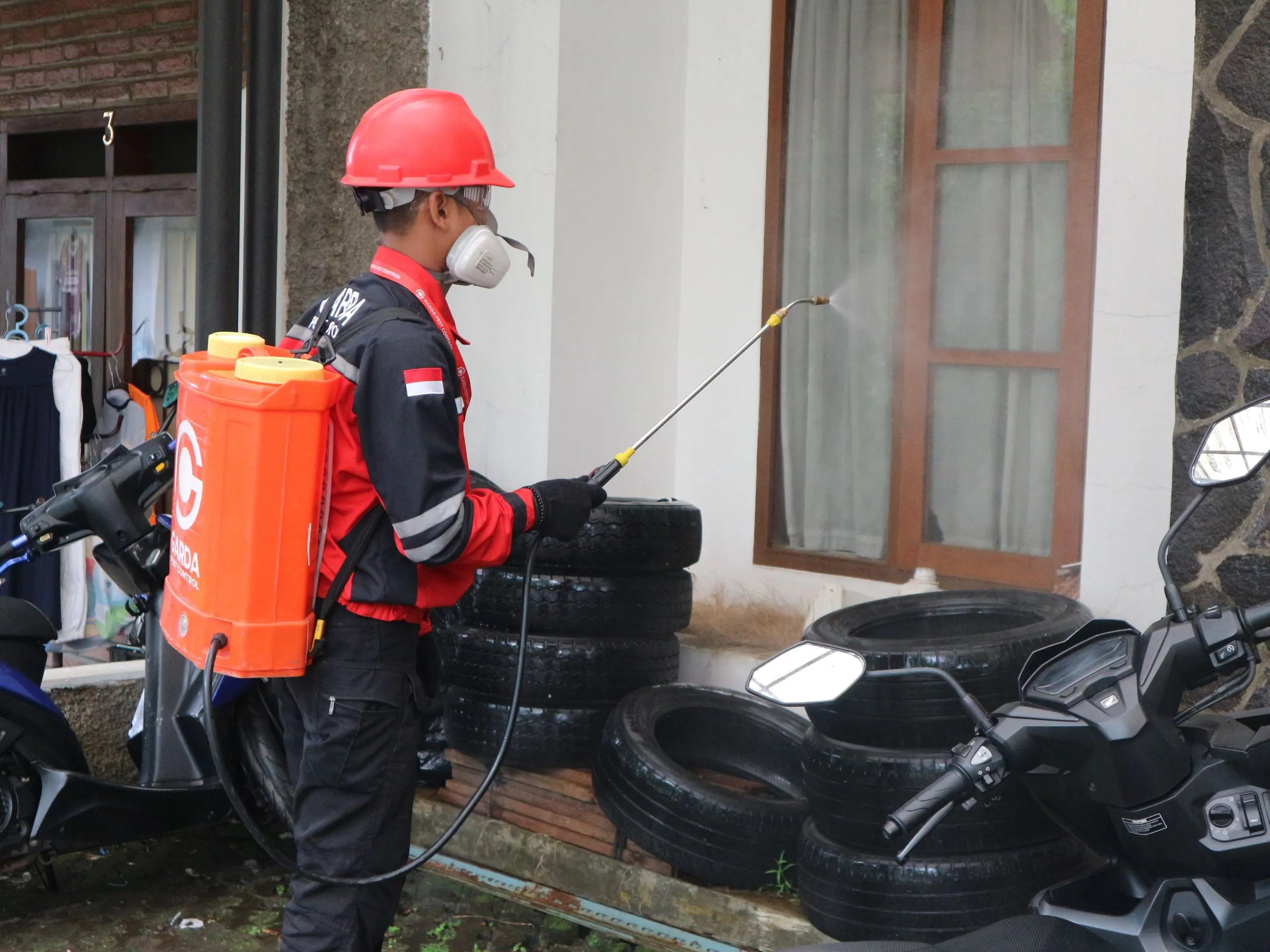 FumiFast — Control de Roedores y Plagas Urbanas